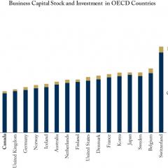 Business Capital Stock and Investment in OECD Countries