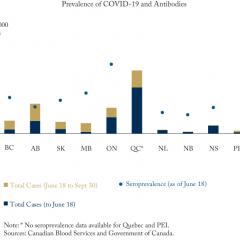 Testing Gaps: Prevalence of COVID-19 and Antibodies