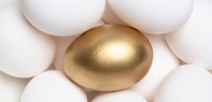 Comparing Nest Eggs: How CPP Reform Affects Retirement Choices