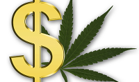 Rosalie Wyonch - Don’t Overtax Our Pot Producers