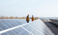 The Next Green Bond Wave: Should Ottawa Step In?